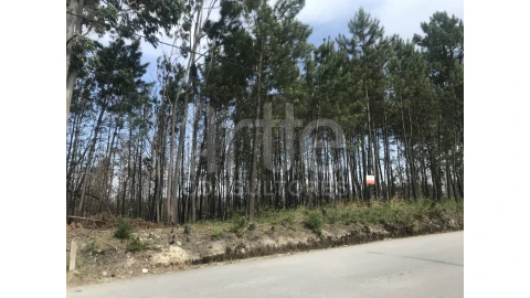 Terreno para Venda em Requeixo, Nossa Senhora de Fátima e Nariz