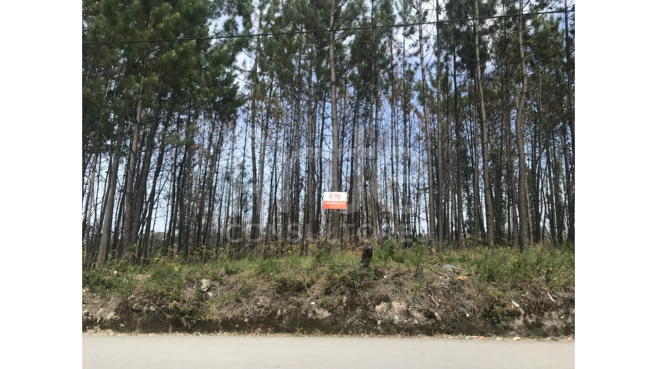 Terreno para Venda em Requeixo, Nossa Senhora de Fátima e Nariz Foto 1