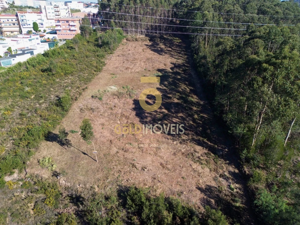 Terreno para Venda em São João de Ver Foto 4