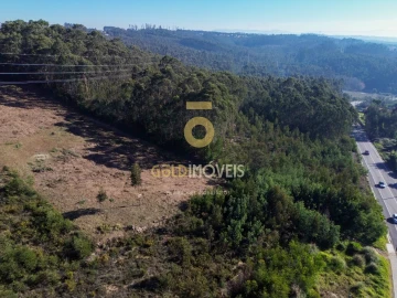 Terreno para Venda em São João de Ver