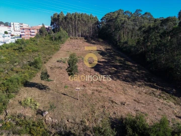 Terreno para Venda em São João de Ver
