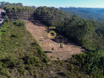 Terreno para Venda em São João de Ver