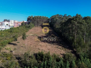 Terreno para Venda em São João de Ver