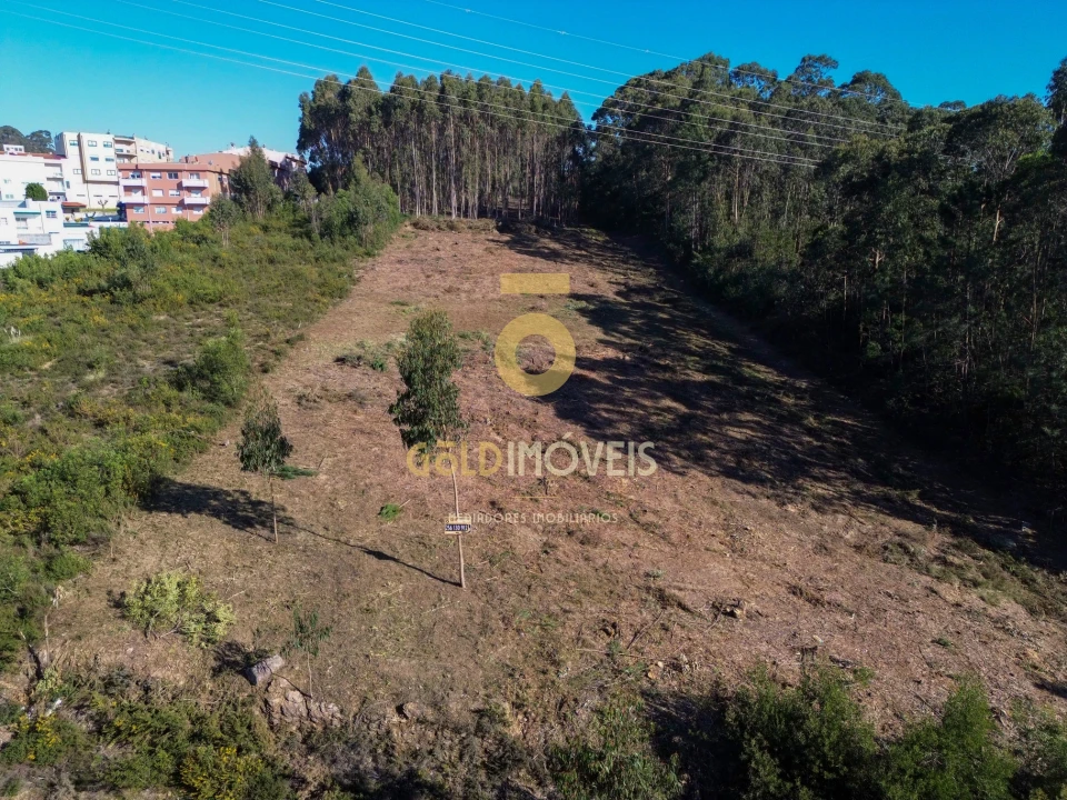 Terreno para Venda em São João de Ver Foto 3