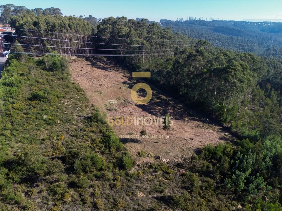 Terreno para Venda em São João de Ver Foto 6