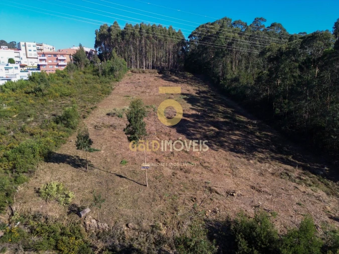 Terreno para Venda em São João de Ver Foto 3