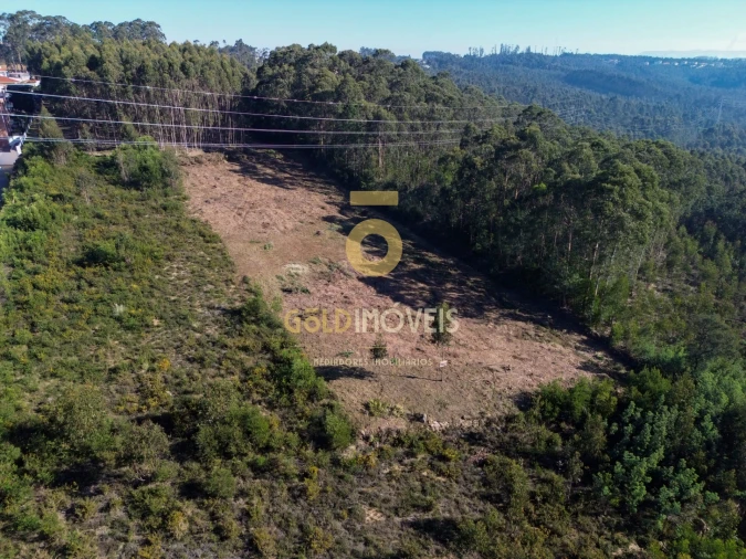 Terreno para Venda em São João de Ver Foto 6