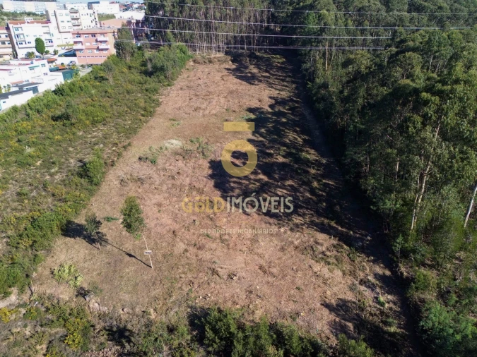 Terreno para Venda em São João de Ver Foto 2
