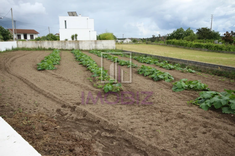 Terreno para Venda em Requeixo, Nossa Senhora de Fátima e Nariz Foto 2