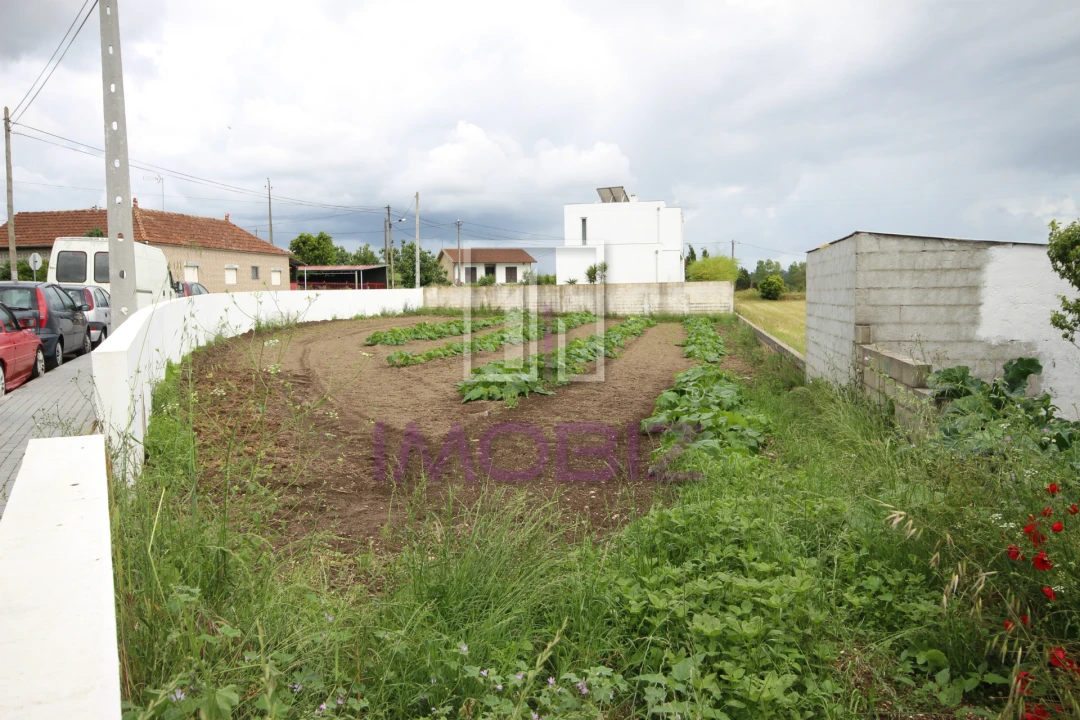 Terreno para Venda em Requeixo, Nossa Senhora de Fátima e Nariz Foto 1