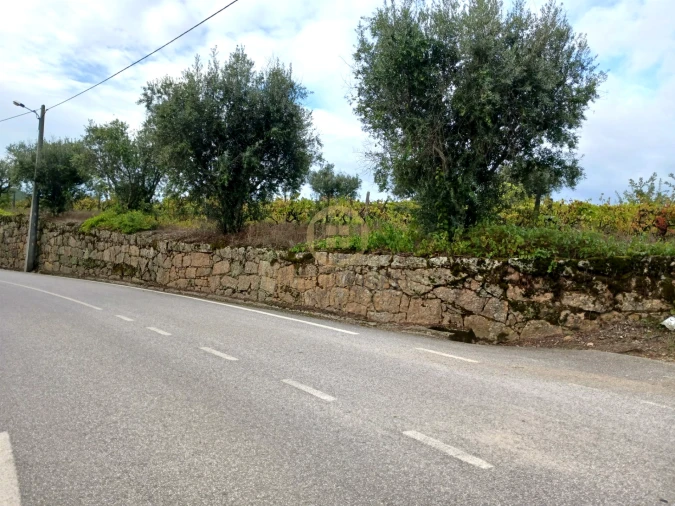 Terreno para Venda em Castelo de Penalva Foto 4