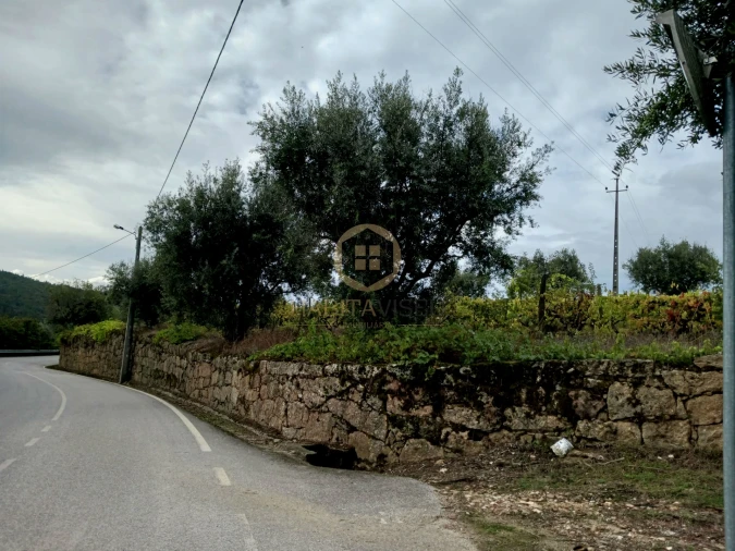 Terreno para Venda em Castelo de Penalva Foto 5