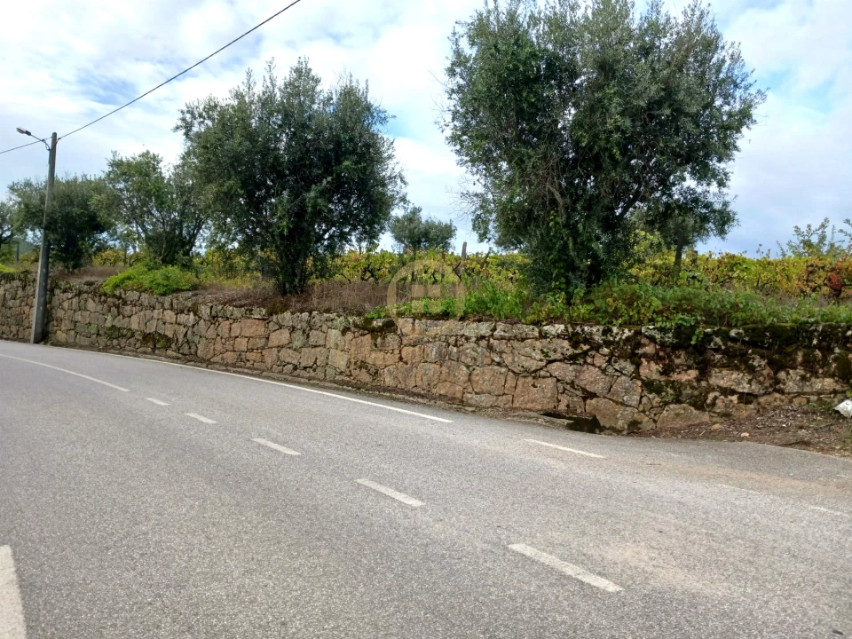 Terreno para Venda em Castelo de Penalva Foto 4