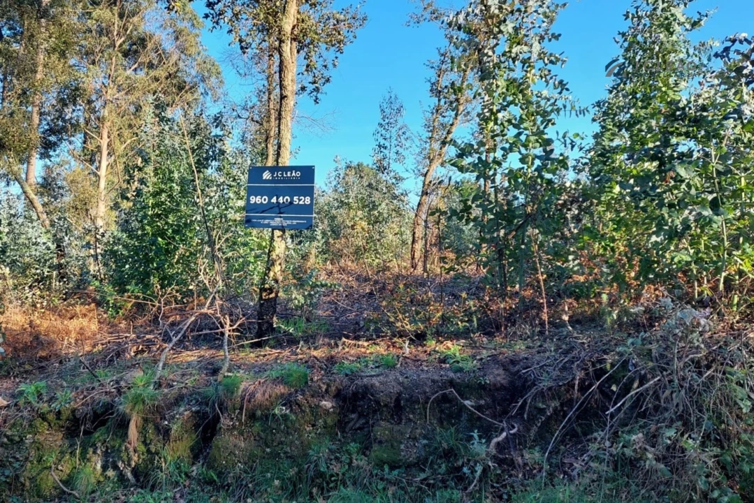 Terreno para Venda em Paço de Sousa Foto 5