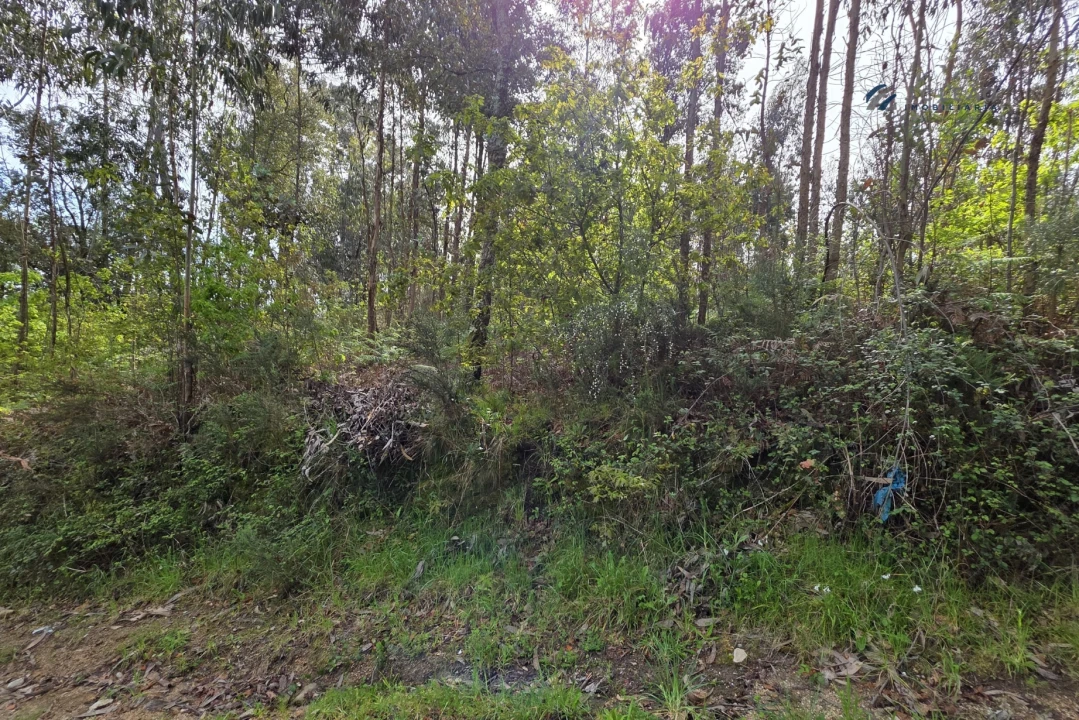 Terreno para Venda em Paço de Sousa Foto 23