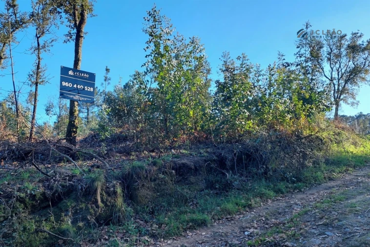 Terreno para Venda em Paço de Sousa Foto 2