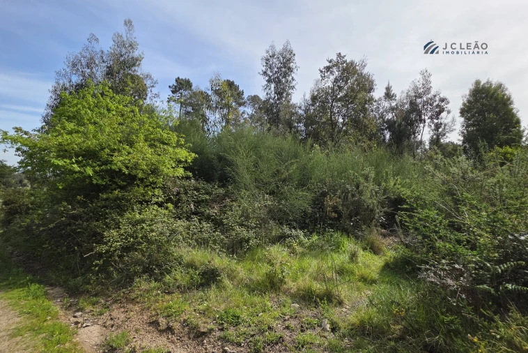 Terreno para Venda em Paço de Sousa Foto 10