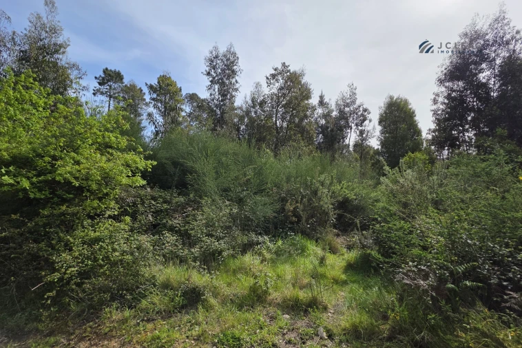 Terreno para Venda em Paço de Sousa Foto 8