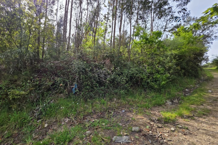 Terreno para Venda em Paço de Sousa Foto 21