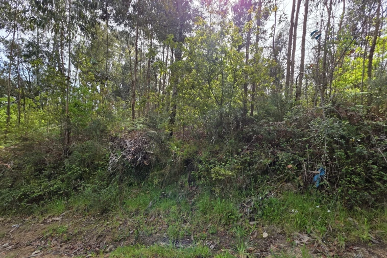 Terreno para Venda em Paço de Sousa Foto 23
