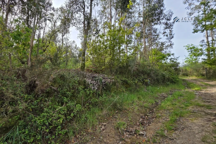 Terreno para Venda em Paço de Sousa Foto 24