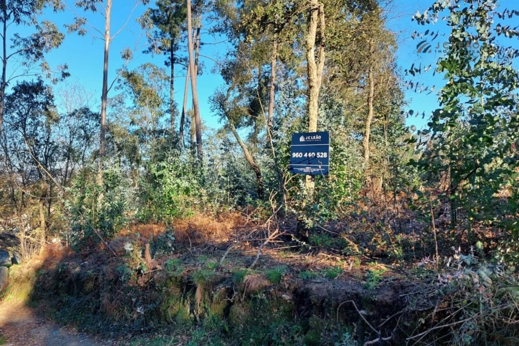 Terreno para Venda em Paço de Sousa Foto 13