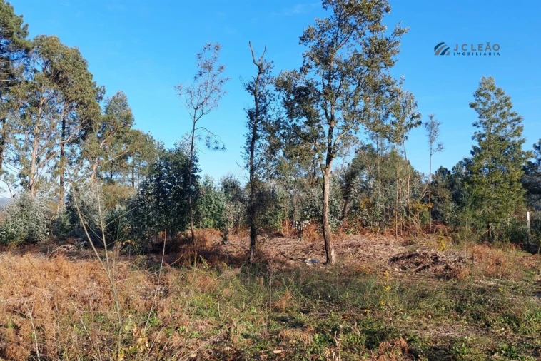 Terreno para Venda em Paço de Sousa Foto 3