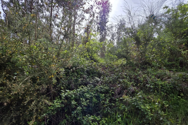 Terreno para Venda em Paço de Sousa Foto 20