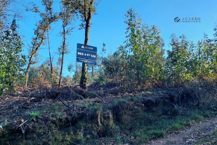 Terreno para Venda em Paço de Sousa Foto 11