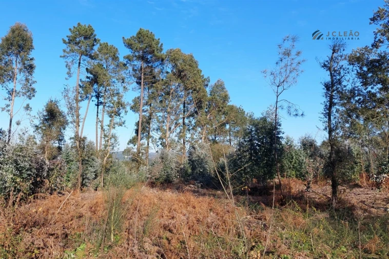 Terreno para Venda em Paço de Sousa Foto 18