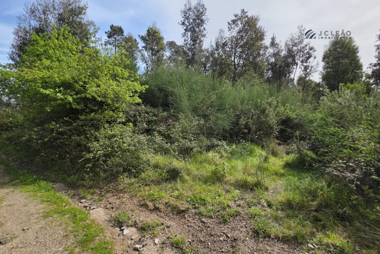 Terreno para Venda em Paço de Sousa Foto 6