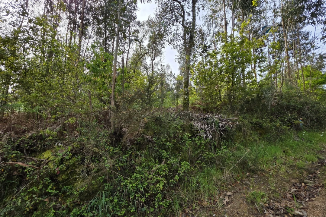 Terreno para Venda em Paço de Sousa Foto 22
