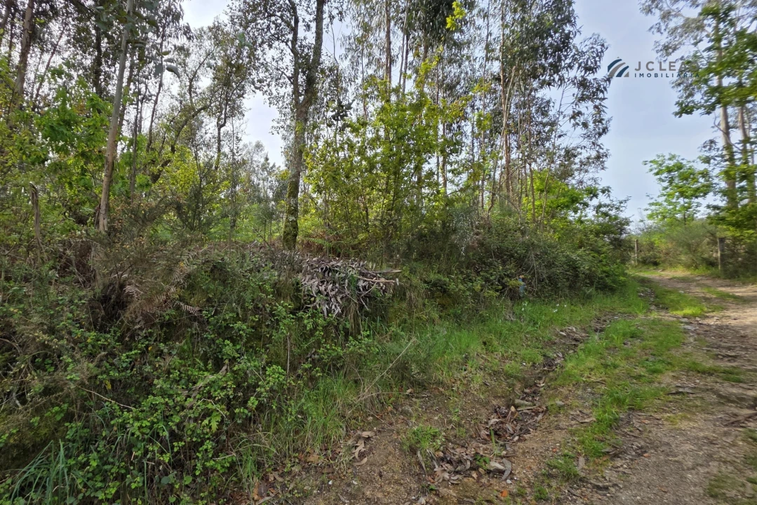 Terreno para Venda em Paço de Sousa Foto 24