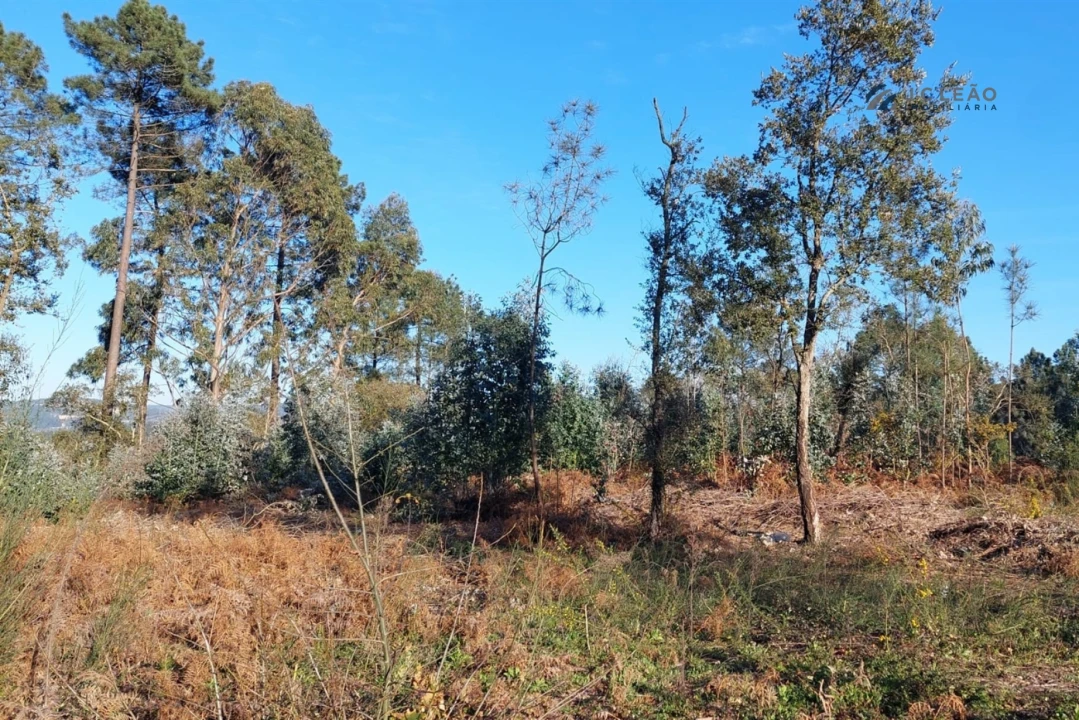 Terreno para Venda em Paço de Sousa Foto 17