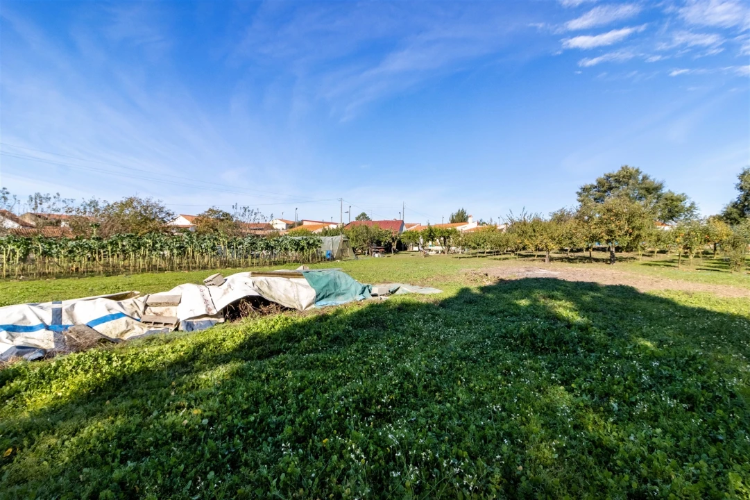 Moradia T5 para Venda em Calvaria de Cima Foto 45