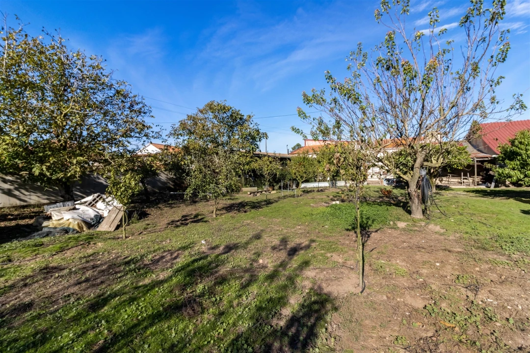 Moradia T5 para Venda em Calvaria de Cima Foto 50