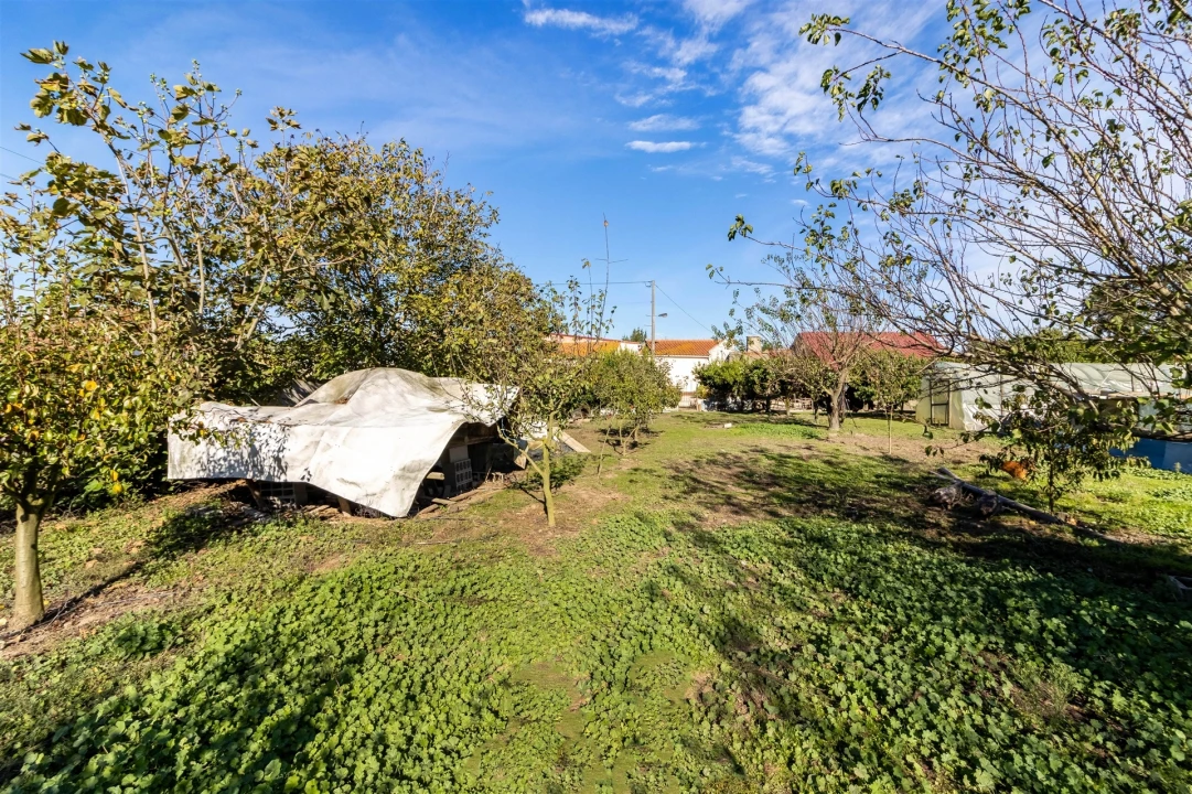 Moradia T5 para Venda em Calvaria de Cima Foto 46