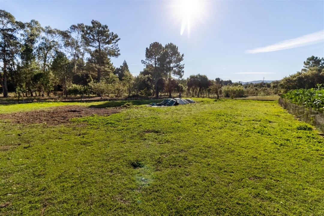 Moradia T5 para Venda em Calvaria de Cima Foto 47