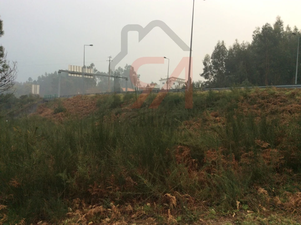Terreno para Venda em Figueiras e Covas Foto 3