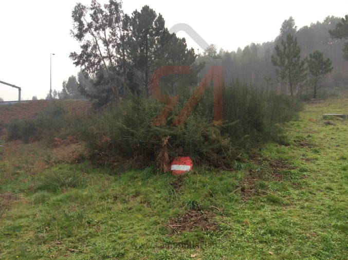 Terreno para Venda em Figueiras e Covas Foto 2