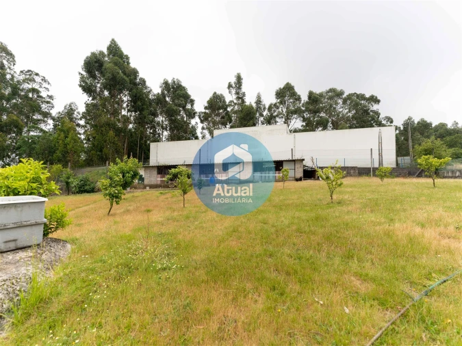 Moradia T5 para Venda em Tabuadelo e São Faustino Foto 79