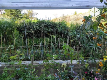 Apartamento T3 para Venda em Buarcos