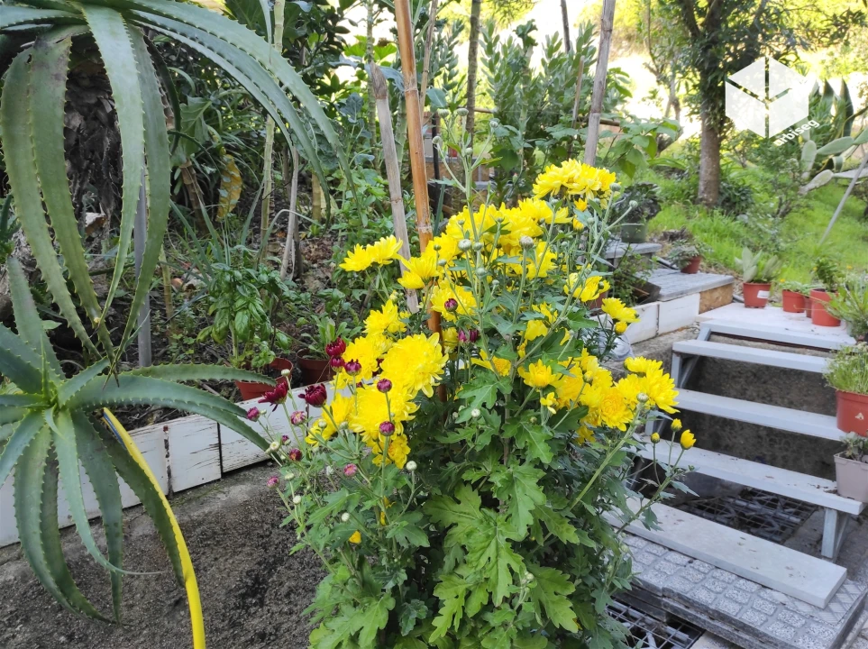 Apartamento T3 para Venda em Buarcos Foto 24