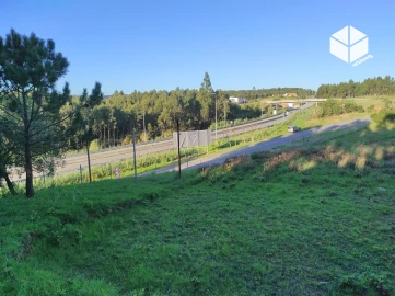 Terreno para Venda em Tavarede