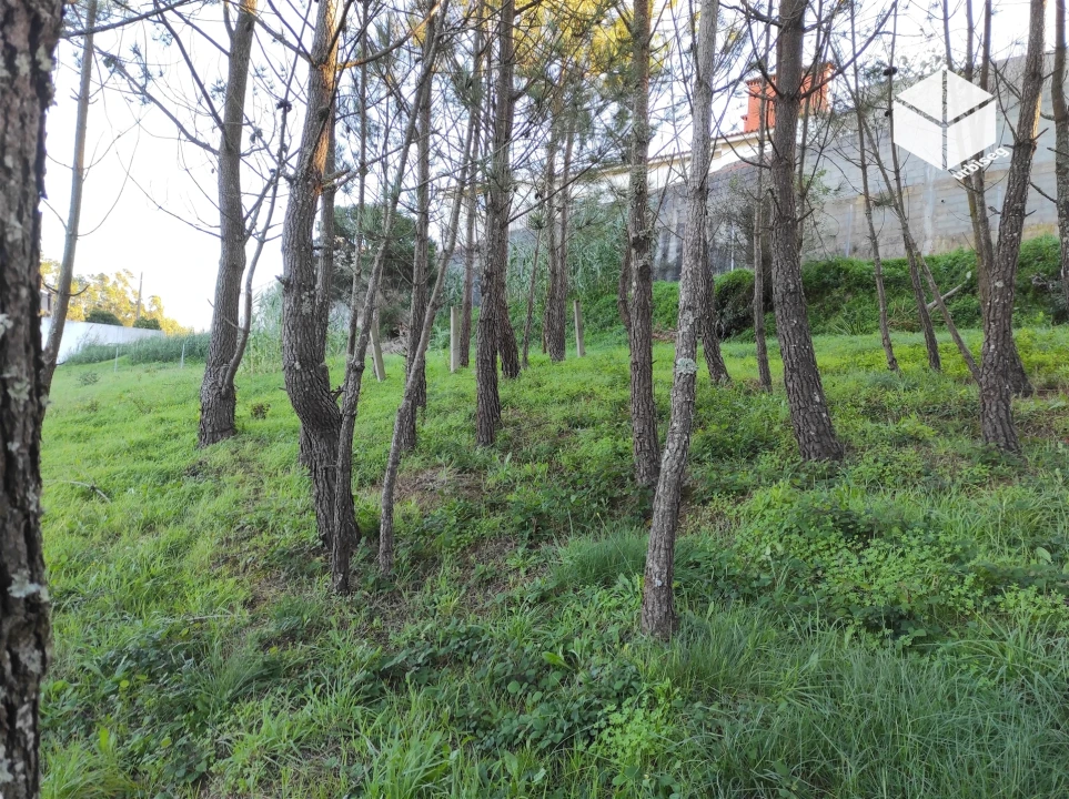 Terreno para Venda em Tavarede Foto 10