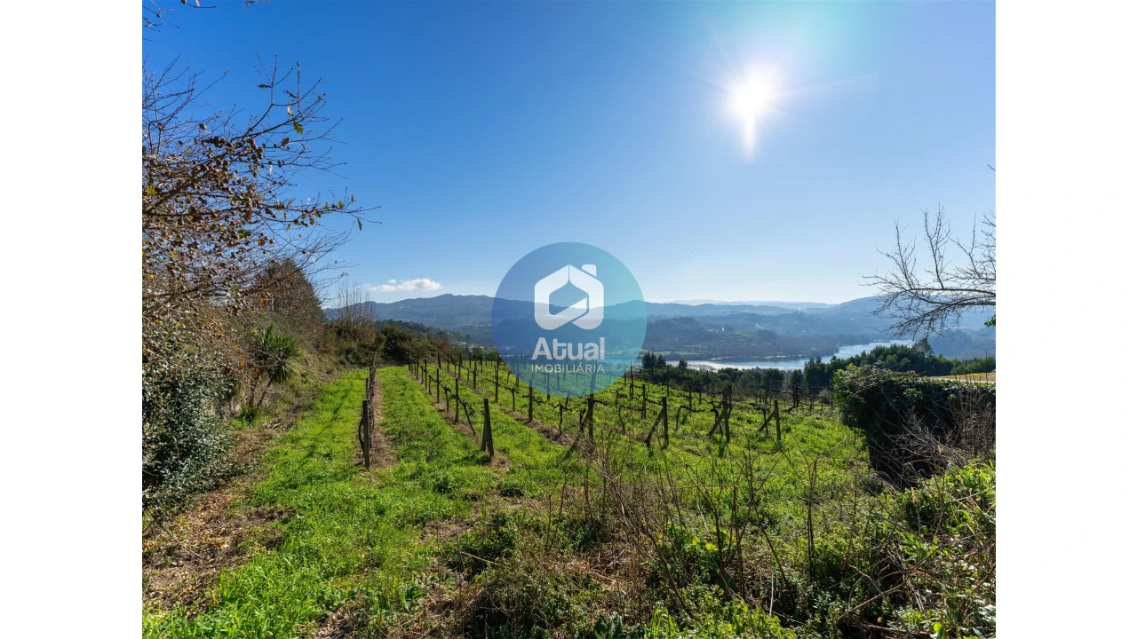 Quinta T0 para Venda em Abragão Foto 23