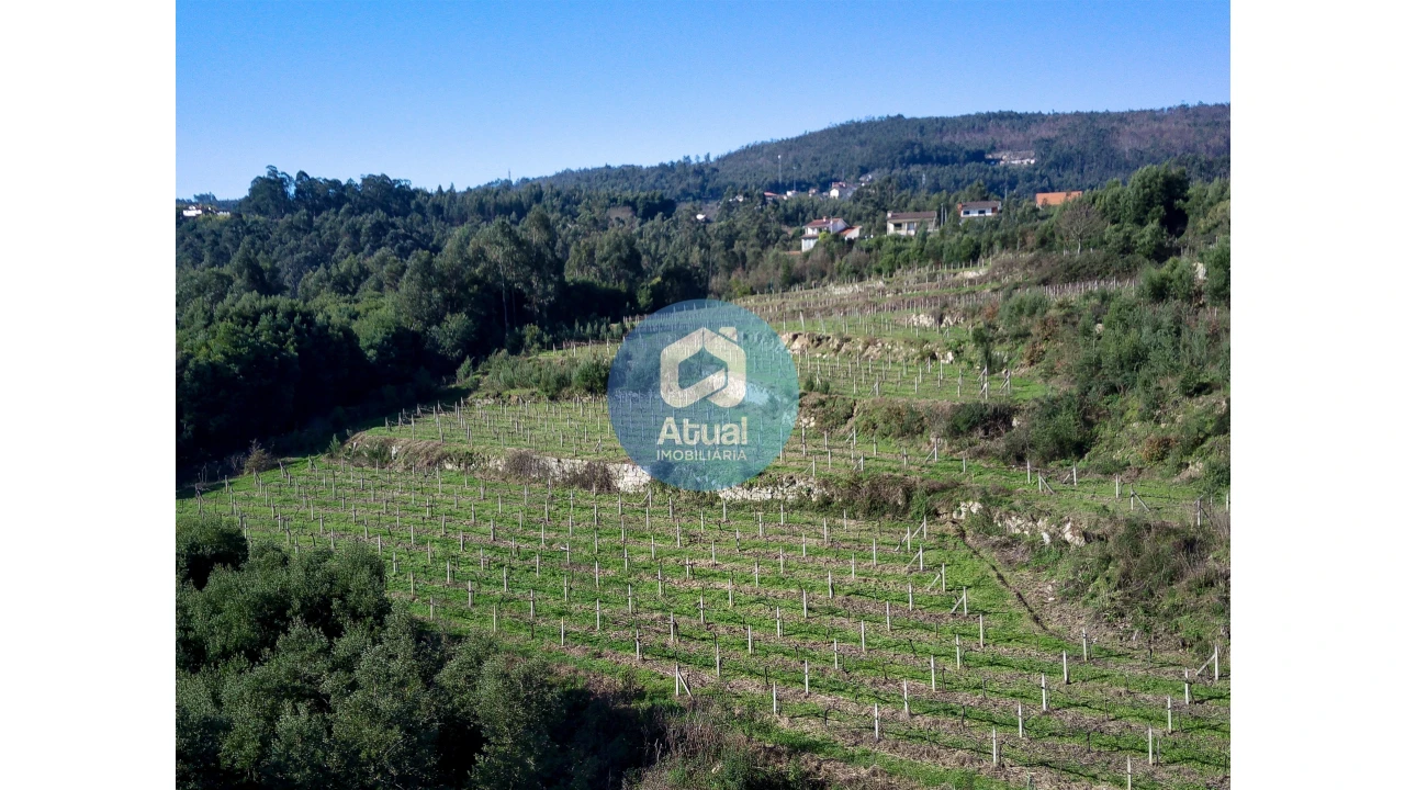 Quinta T0 para Venda em Abragão Foto 8