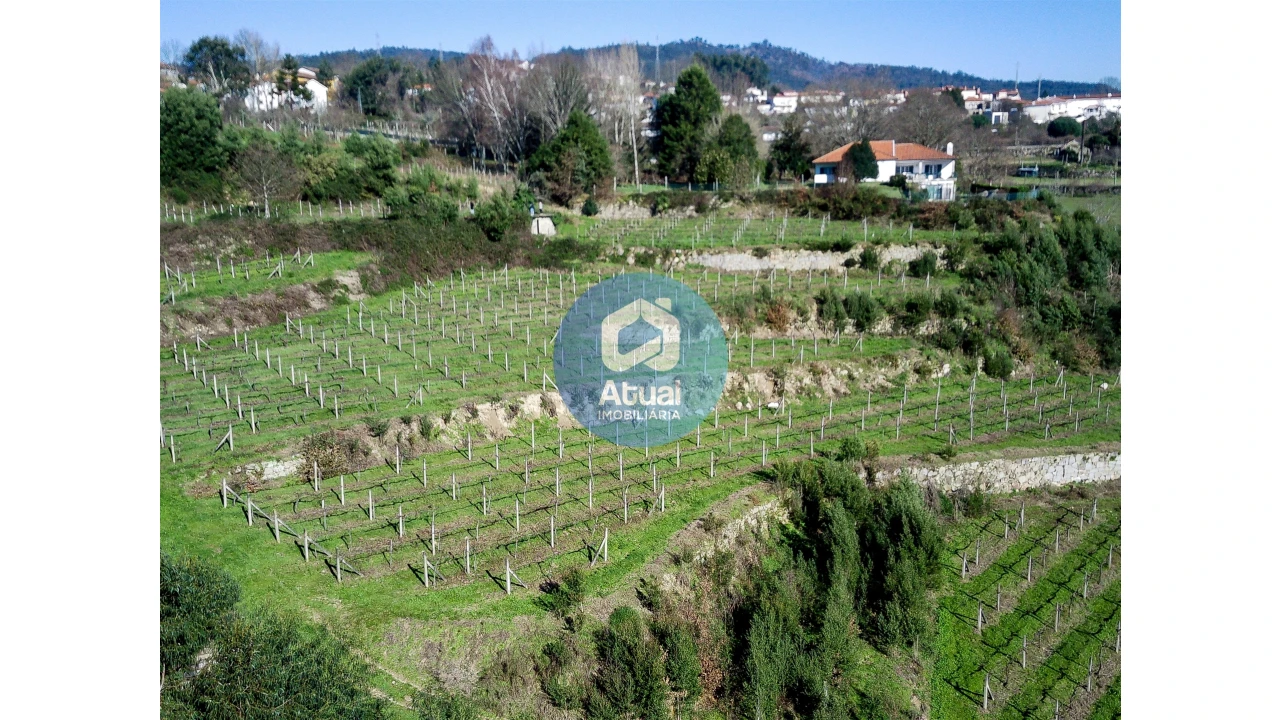 Quinta T0 para Venda em Abragão Foto 2