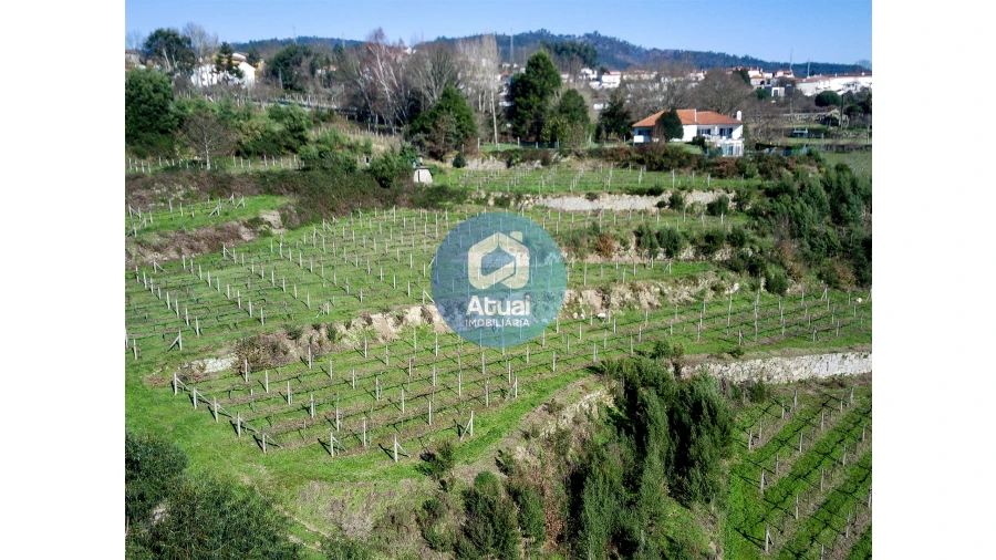 Quinta T0 para Venda em Abragão Foto 2