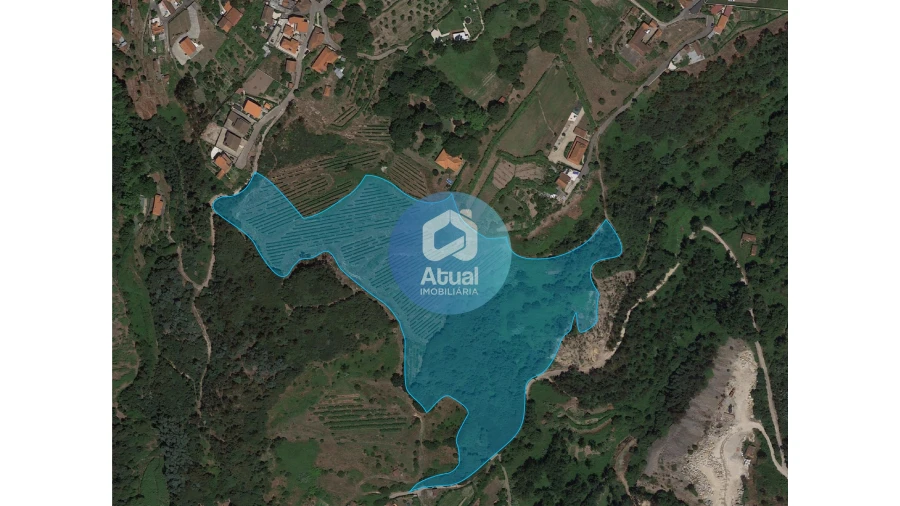 Quinta T0 para Venda em Abragão Foto 1